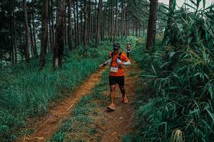 BIB: 
                            <button type="button" onclick="openModal(25658083)" class="btn btn-primary btn-sm float-right btn-popup" data-toggle="modal" data-target=".modal-high-quality">
                        <i class="fas fa-shopping-cart"></i> Add to Cart
                    </button>
                                            <button type="button" onclick="isThisMe(25658083, true)" class="btn btn-success btn-sm float-right btn-popup btn-isme hidden" data-toggle="tooltip" data-placement="bottom" title="นี่คือรูปของคุณใช่ไหม คลิกที่นี่เพื่อเอาเข้าอัลบั้ม">
                        <i class="fas fa-plus"></i> Add to album
                    </button>
                    <button type="button" onclick="isThisMe(25658083, false)" class="btn btn-warning btn-sm float-right btn-popup btn-isnotme hidden">
                        <i class="fas fa-ban"></i> Remove from album
                    </button>